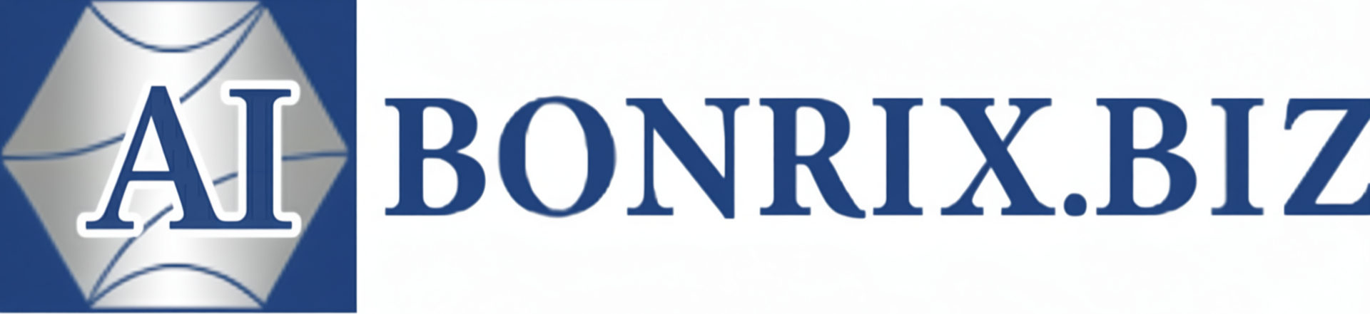 Bonrix biz